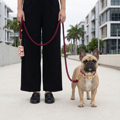 Cherry Orchard Collar Walk Set