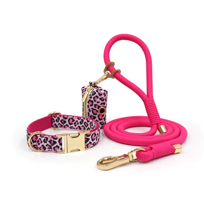 Pink Leopard Collar Walk Set
