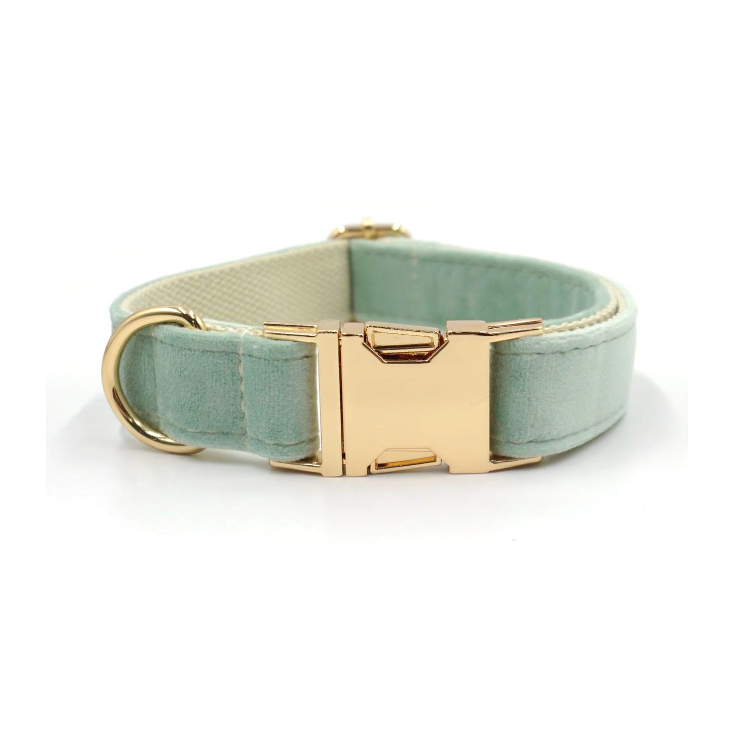 Mint Green Velvet Collar Walk Set