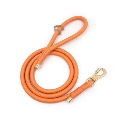 Orange Rope Dog Leash