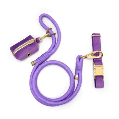 Purple Velvet Collar Walk Set