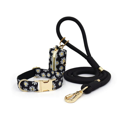 Midnight Daisies Collar Walk Set