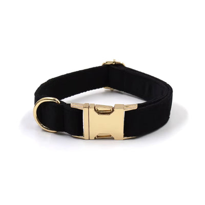 Black Velvet Dog Collar