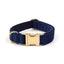 Dark Blue Velvet Collar Walk Set