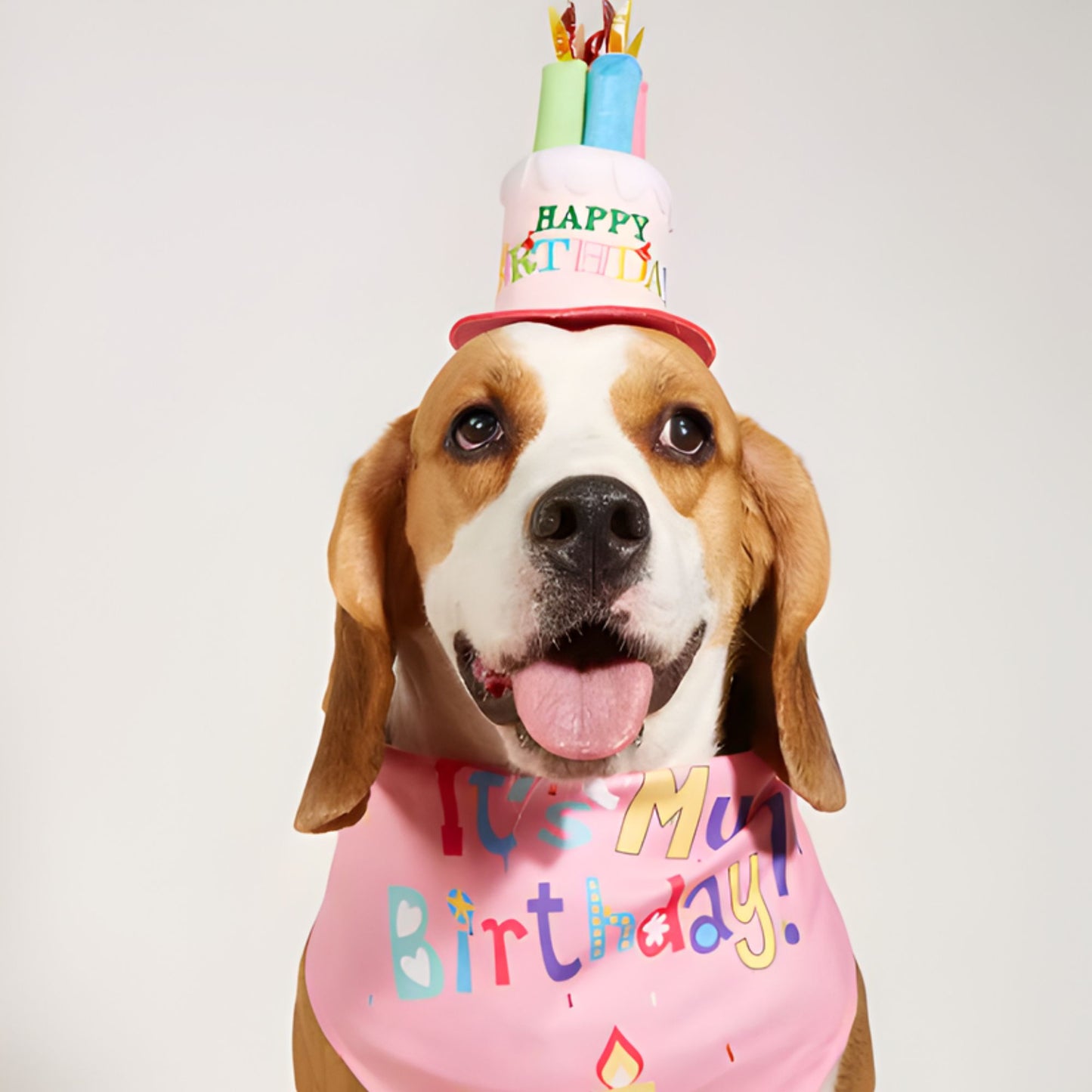 Dog Birthday Set