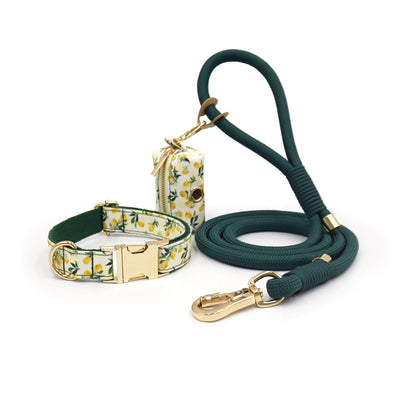 Lemon Grove Collar Walk Set