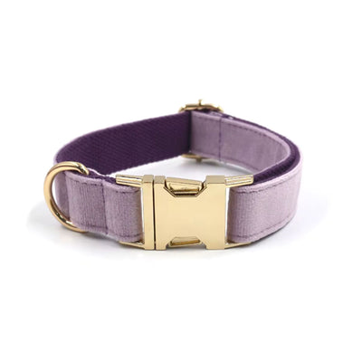 Lilac Velvet Dog Collar