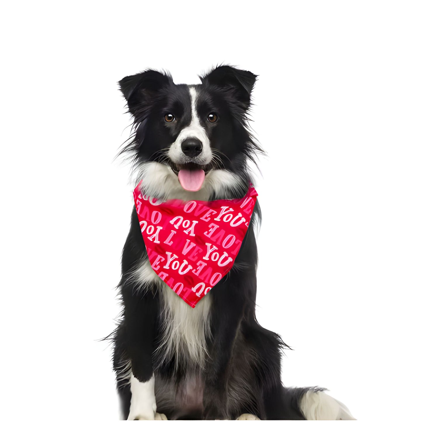 Valentine's Day Love You | Dog Bandana