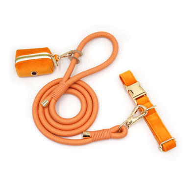 Orange Velvet Collar Walk Set