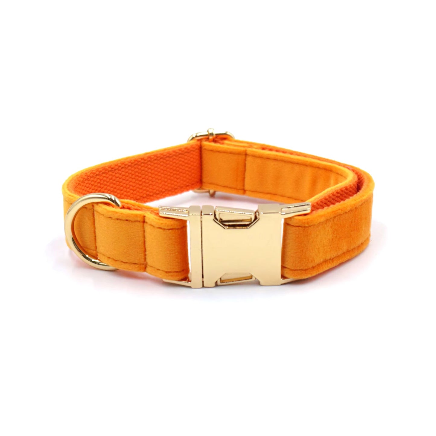 Orange Velvet Collar Walk Set