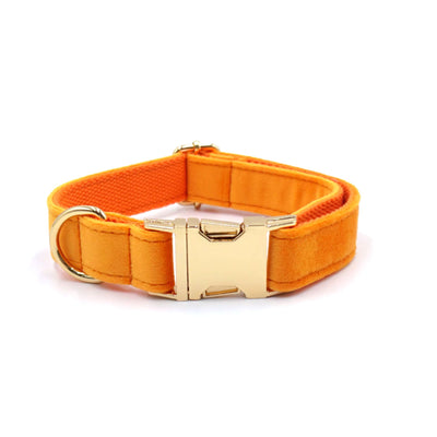 Orange Velvet Dog Collar