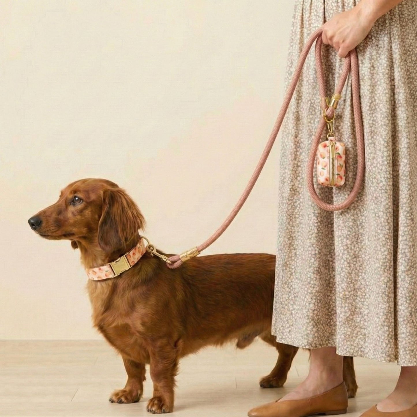 Peaches Collar Walk Set