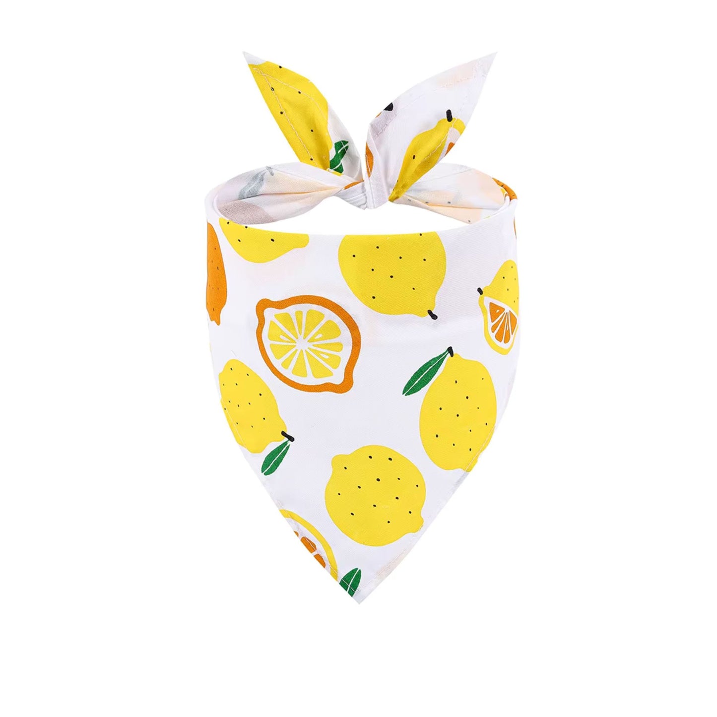 Fresh Citrus | Dog Bandana