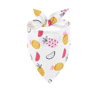 Tropical Fruit Salad | Dog Bandana