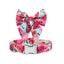 Watermelon | Bow Tie Dog Collar